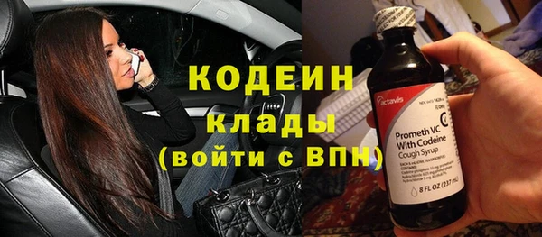 прущие крисы Елизово