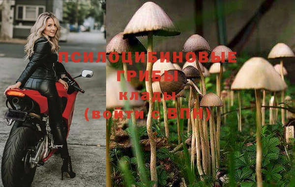 марки lsd Елабуга