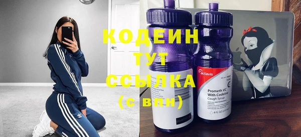 прущие крисы Елизово