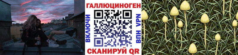 Купить  Лесозаводск  Псилоцибиновые грибы GOLDEN TEACHER 